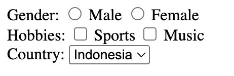 hasil coding html: elemen input
